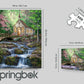 Springbok Peaceful Prayer 500 Piece Jigsaw Puzzle for Adults