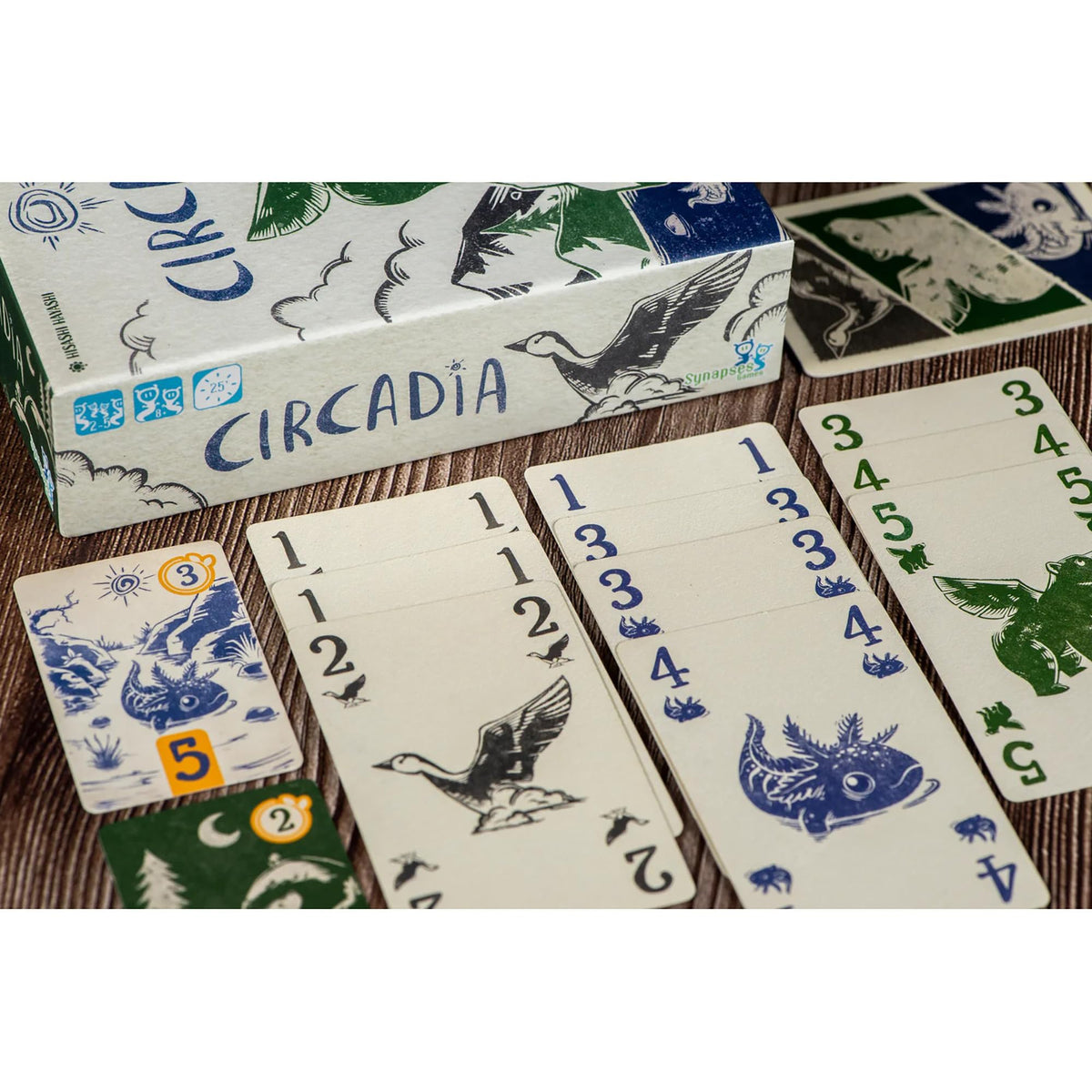 Pre-Order: Circadia by Synapses Games