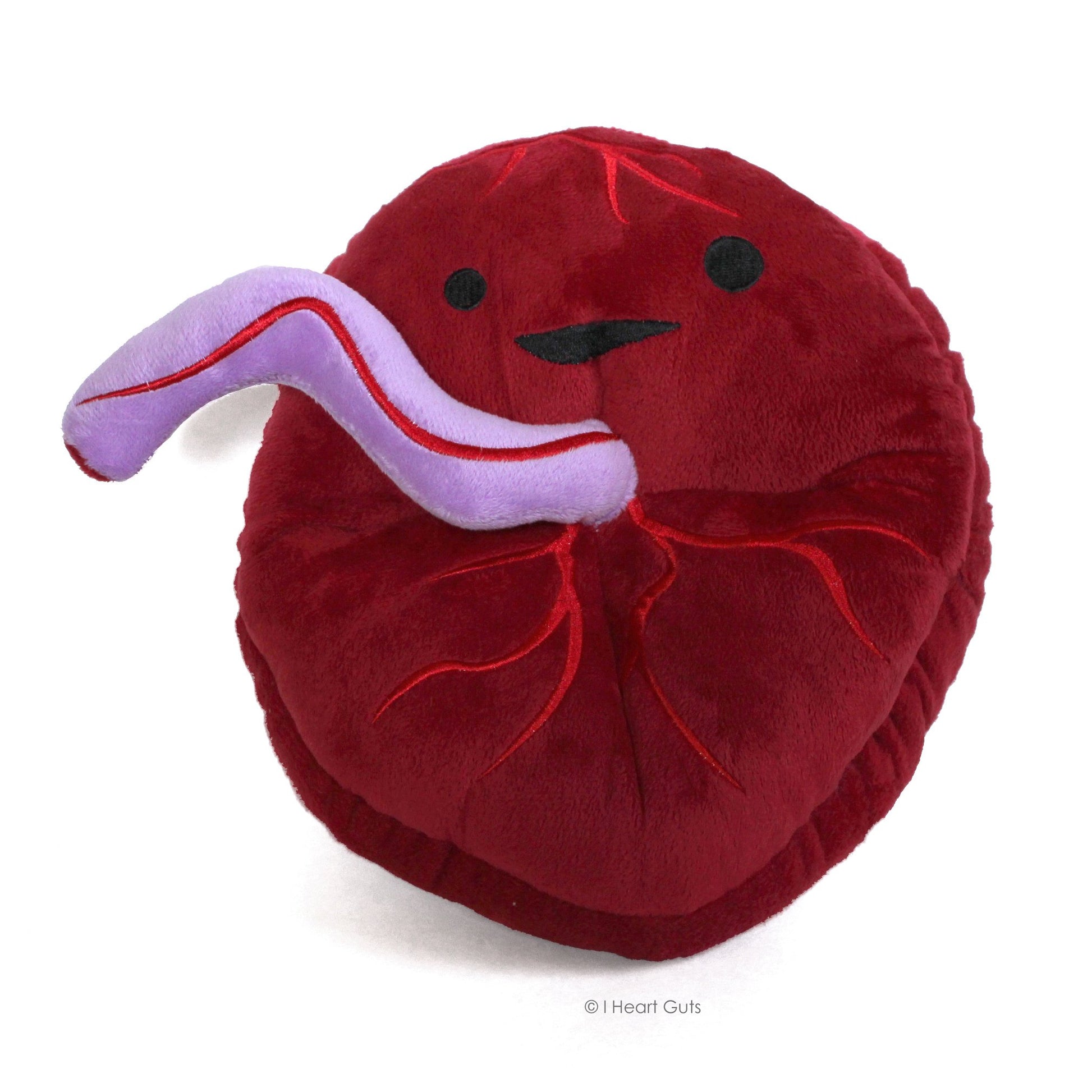I Heart Guts Placenta Plush - Cute Educational Organ Toy for Childbirth & Postpartum - Funny Get Well Recovery Gift for Labor Delivery Nurse Patients