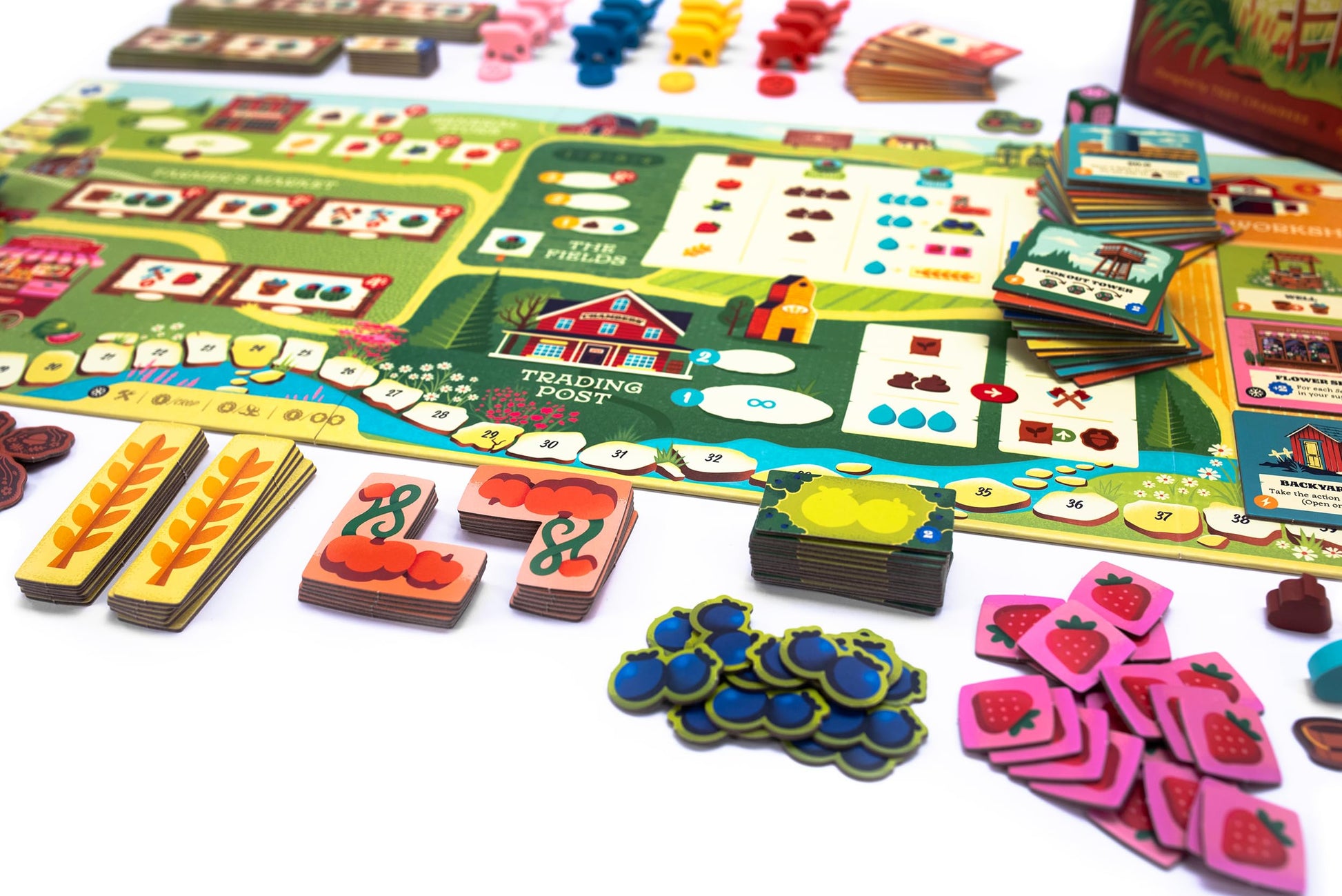 Keymaster Games Harvest | Strategy Board Game for Adults, Families, and Couples | Cozy Farming Experience | Easy-to-Learn | Quick 60-Minute Play