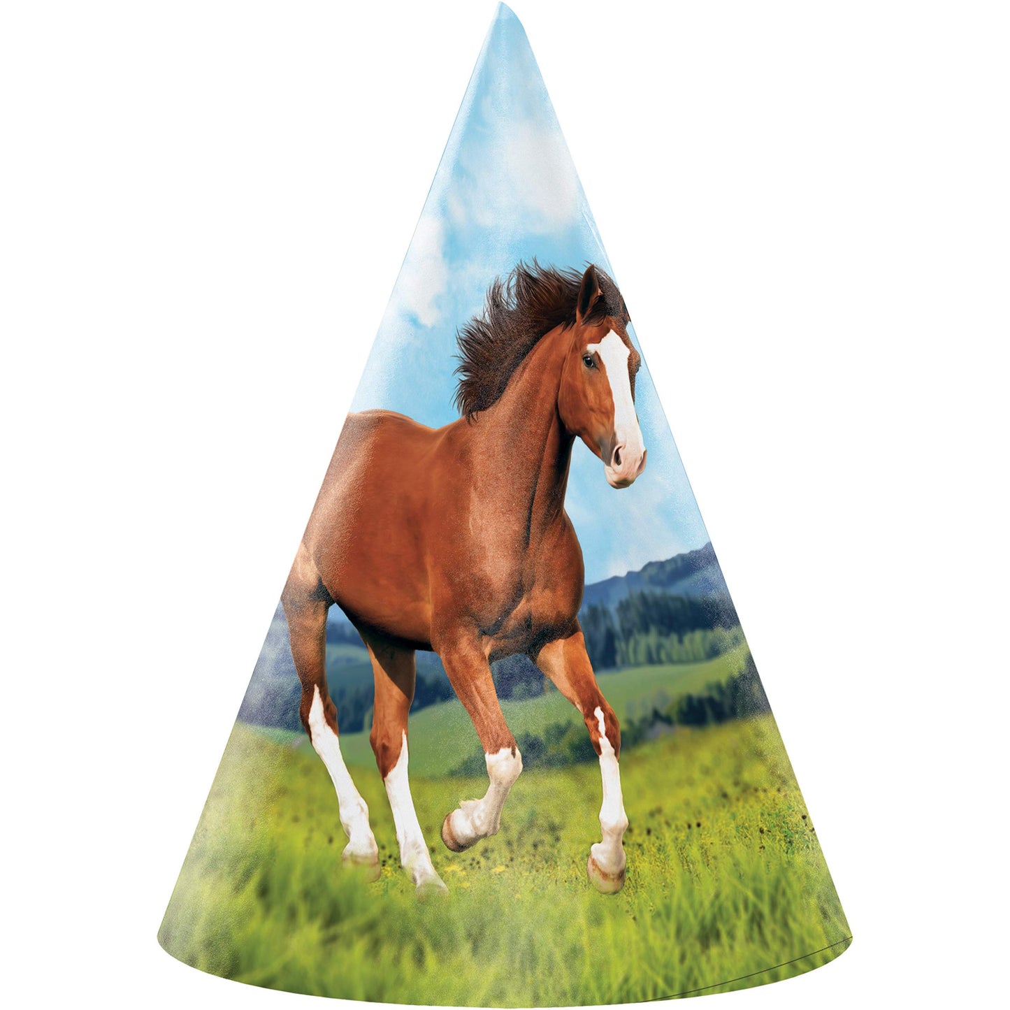 Creative Converting 340107 Horse And Pony Party Child Party Hat
