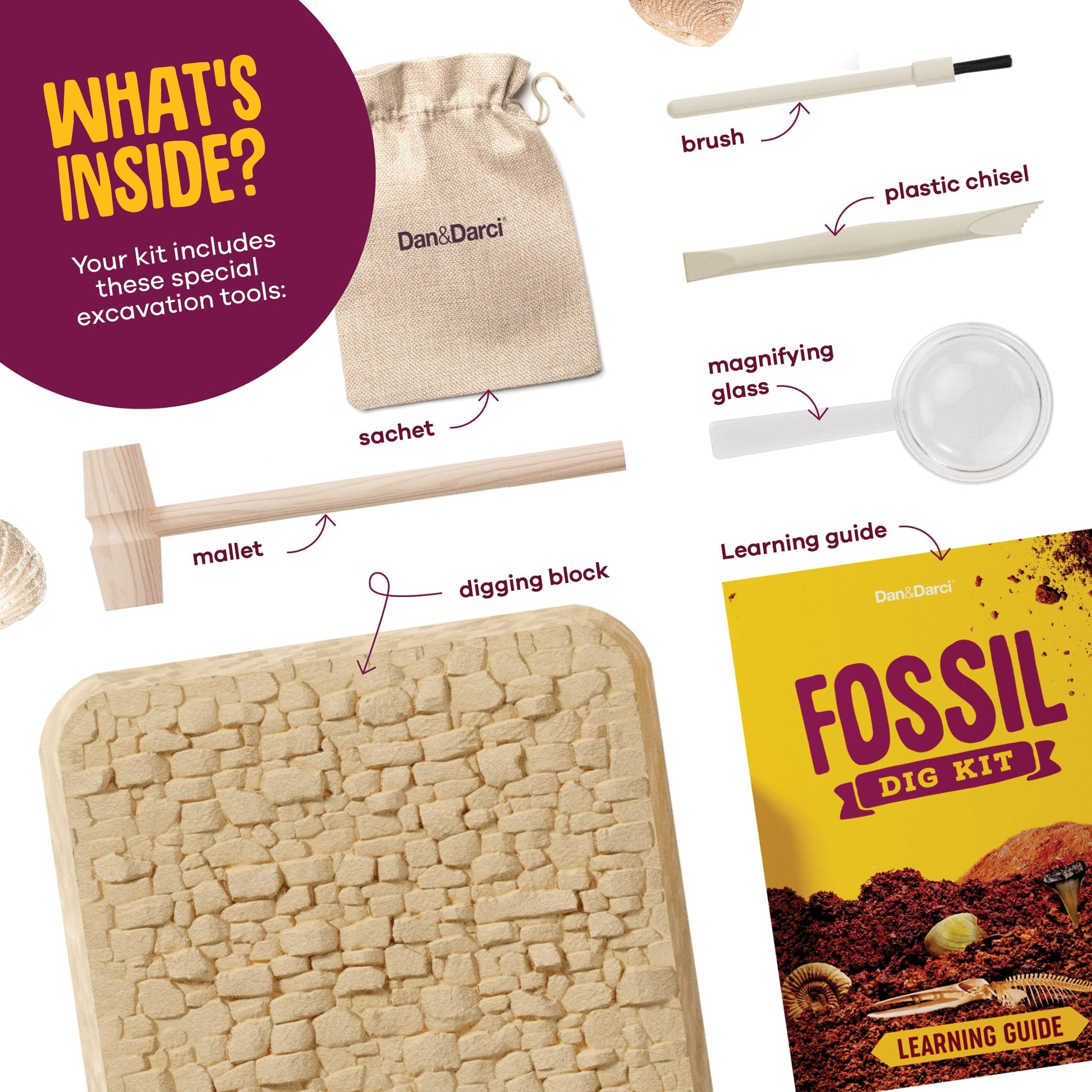 Dan&Darci Real Fossil Dig Kit for Kids - Science Kits for Boys & Girls Age 8-12 - Birthday Gift Ideas for 8, 9, 10, 11, 12 Year Old Boy or Girl