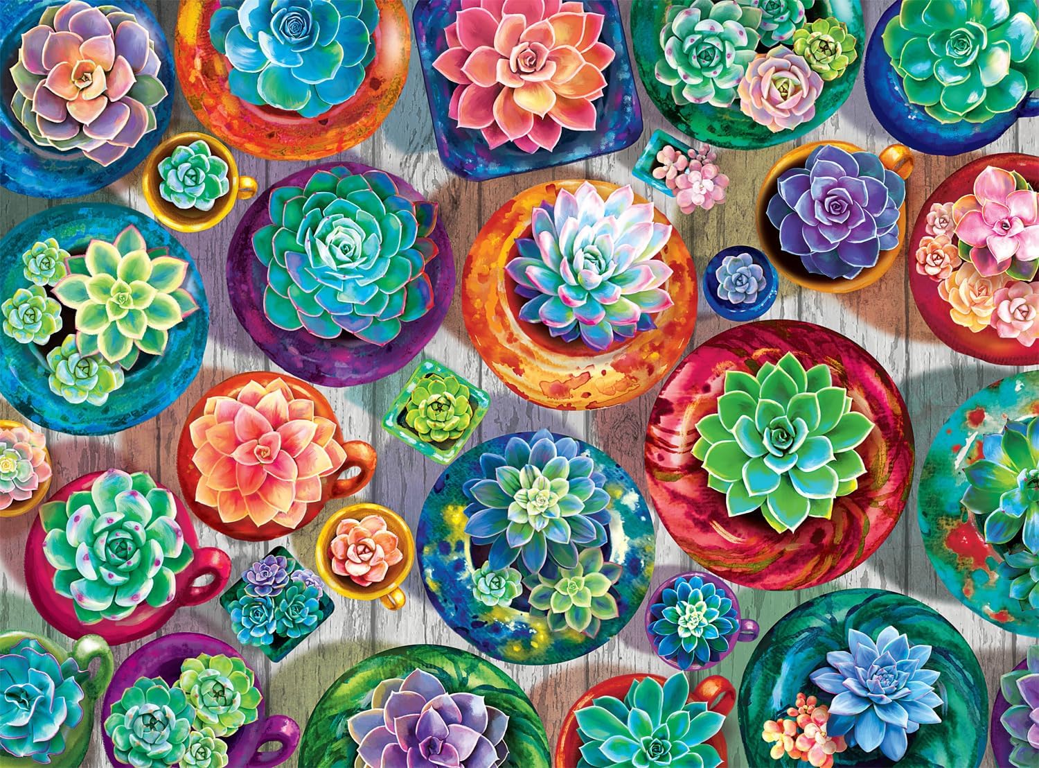 Buffalo Games - Succulent Selection - 1000 Piece Jigsaw Puzzle for Adults