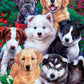 MasterPieces 300 Piece EZ Grip Jigsaw Puzzle - Fluffy Fuzzballs - 18"x24"