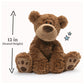 GUND Grahm 12-Inch Classic Brown Teddy Bear Plush Toy for Ages 0+