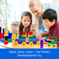Dimple Building Blocks for Toddler (300 Pcs) Stacking Toys & Puzzle Games for Learning and STEM Fun Montessori Toys, Educational Baby Blocks Age 3+