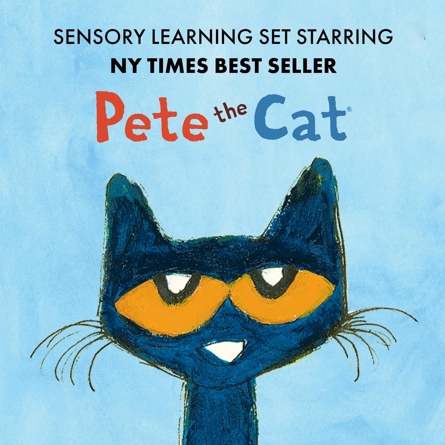 Educational Insights Pete the Cat Playfoam Shape & Learn Pete the Cat Groovin' Alphabet Set with 8 Playfoam Bricks, 13 Double-Sided Cards, Gift