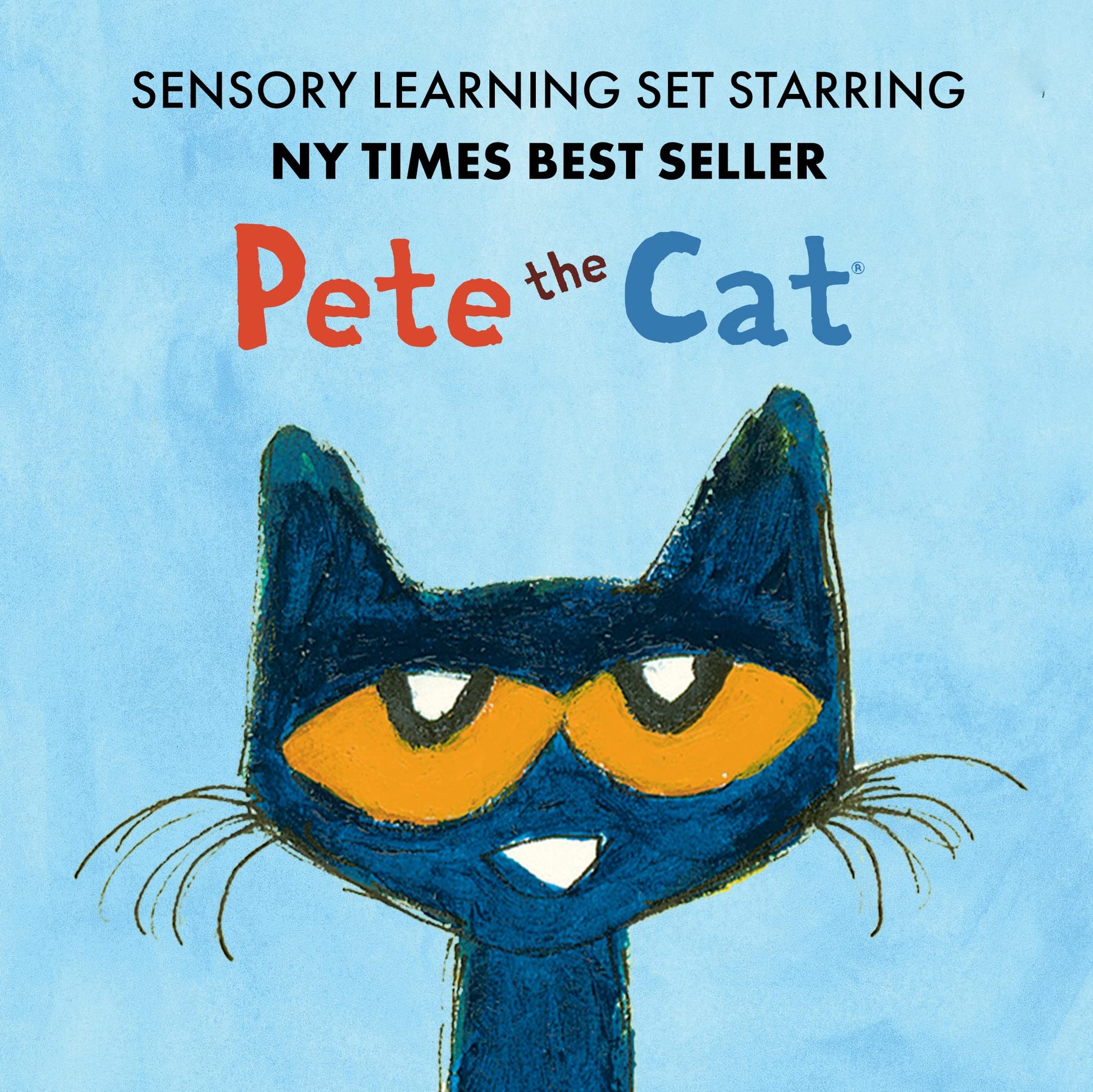 Educational Insights Pete the Cat Playfoam Shape & Learn Pete the Cat Groovin' Alphabet Set with 8 Playfoam Bricks, 13 Double-Sided Cards, Gift