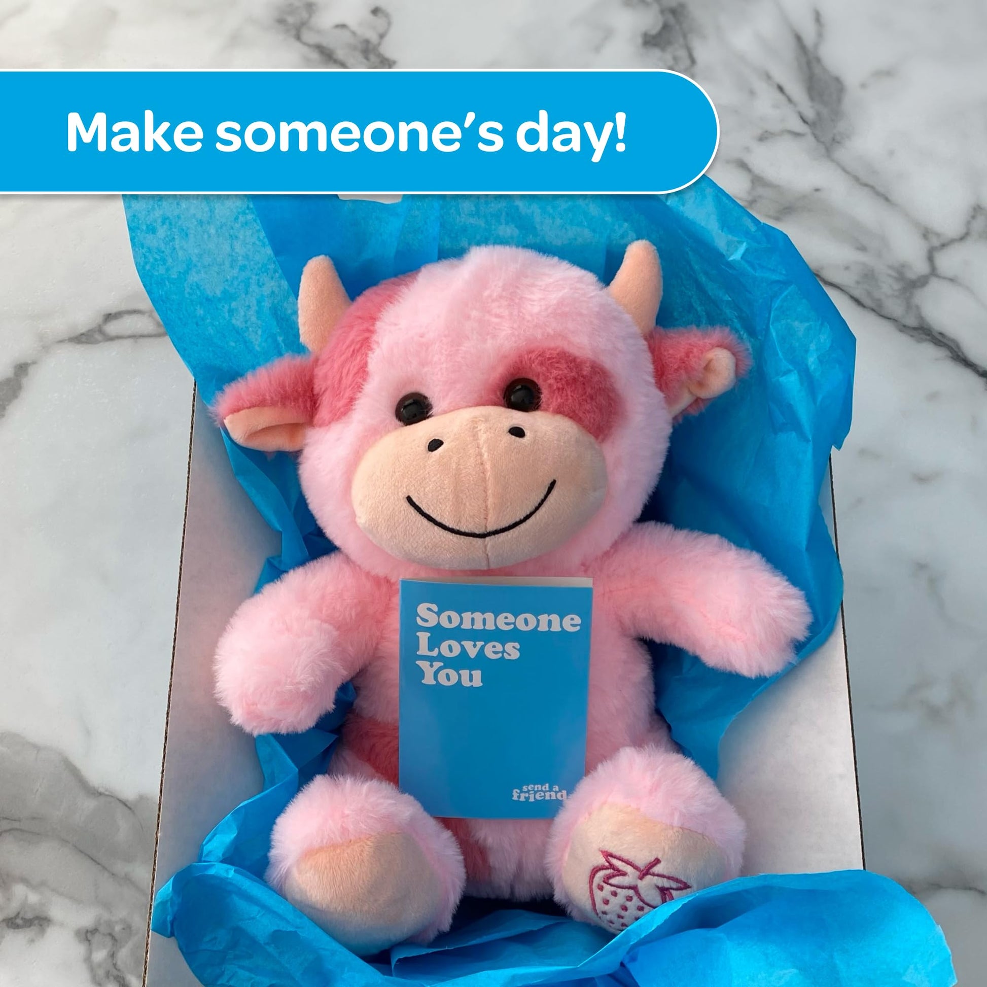 SendAFriend Sally the Strawberry Cow Care Package