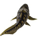 Safari Ltd. Dunkleosteus Figurine - Detailed 7.25" Plastic Model Figure - Fun Educational Play Toy for Boys, Girls & Kids Ages 3+