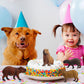 FLORMOON Animal Figures, 4pcs Plastic Capybara Figurines for Science Project, Learning Educational Toys, Birthday Cake Topper for Kids