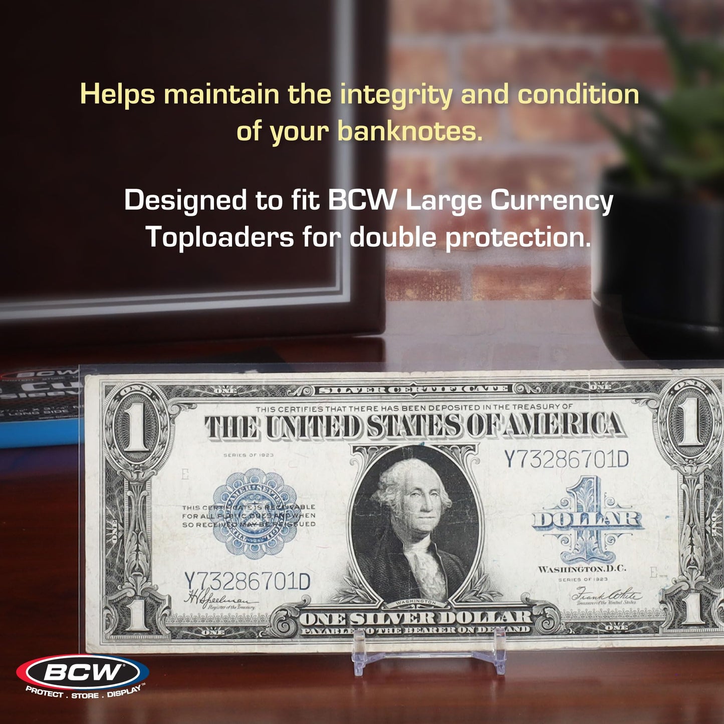 BCW Large Bill Currency Sleeve - 200 ct | Acid-Free, Archival Safe Polypropylene Sleeves for Collectible Currency | Clear Money Protectors for Storage