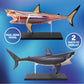 Discovery™ 4D Shark Anatomy Kit| Interactive Model Building Set with Display Stand| STEM Biology Science Kit| Fun Activity Puzzle| Ocean Sea Creature
