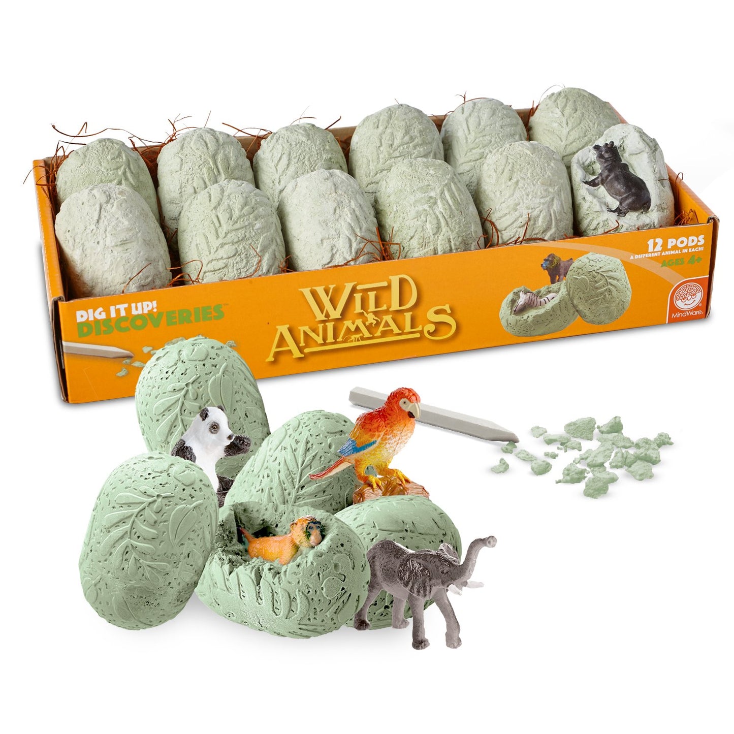 MindWare Dig It Up! Discoveries Wild Animals Science Kit