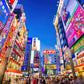 Evening in Akihabara, Japan Puzzle for Adults and Kids | Difficult 1000 Piece Jigsaw Puzzle Toy | Fun Quarantine Gift | Interactive Brain Teaser