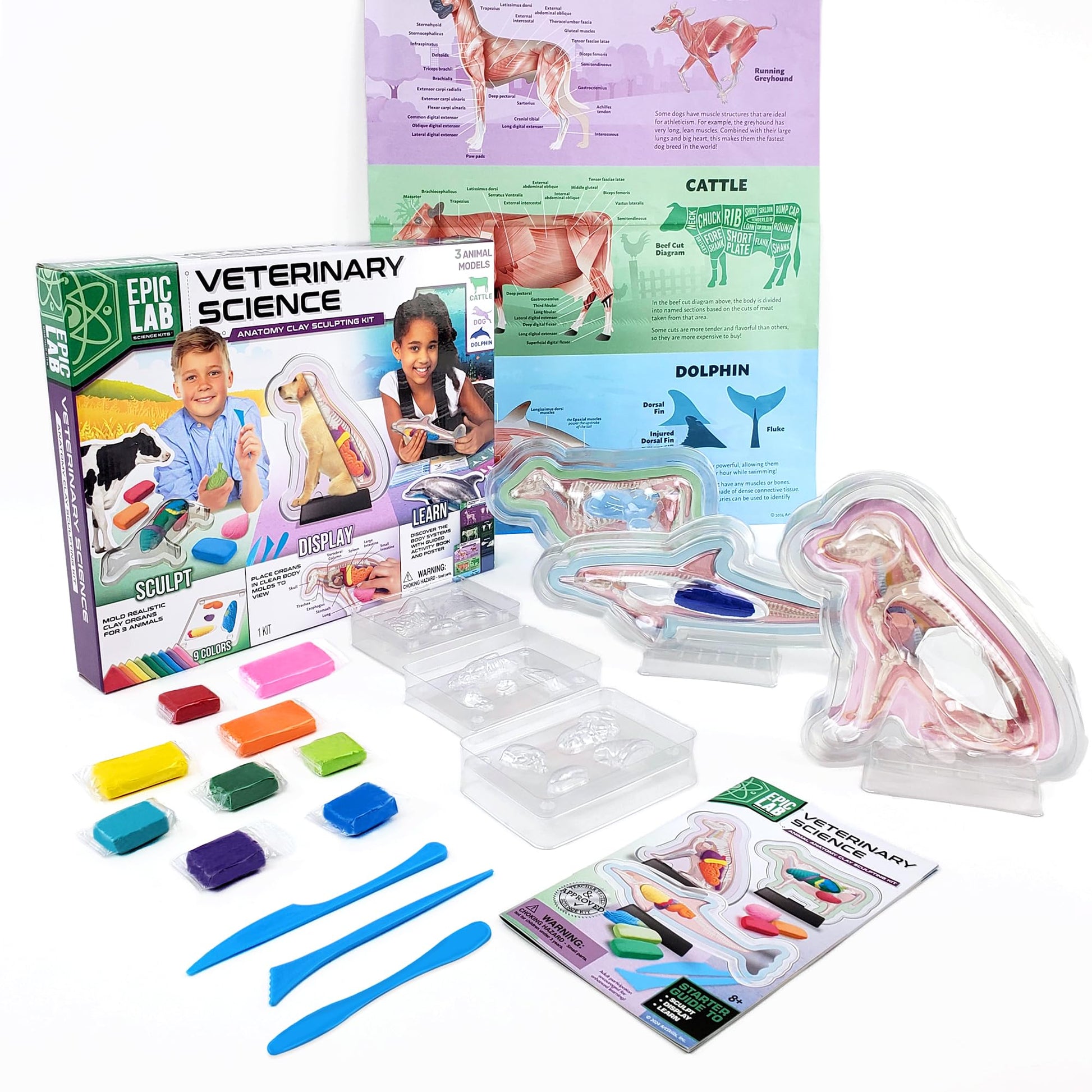 ArtSkills Vet Kit for Kids Animal Anatomy Veterinary Science Kit for Kids