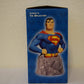 Superman The Man of Steel Mini-Bust
