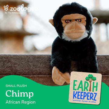 The Petting Zoo Chimp Stuffed Animal Plushie, Gifts for Kids, Earth Keeperz Wildlife Animals, Zoologee Black Chimp Plush Toy, 10 inches