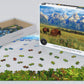 EuroGraphics Grand Teton National Park Photography by Steve Hinch 1000-Piece Puzzle
