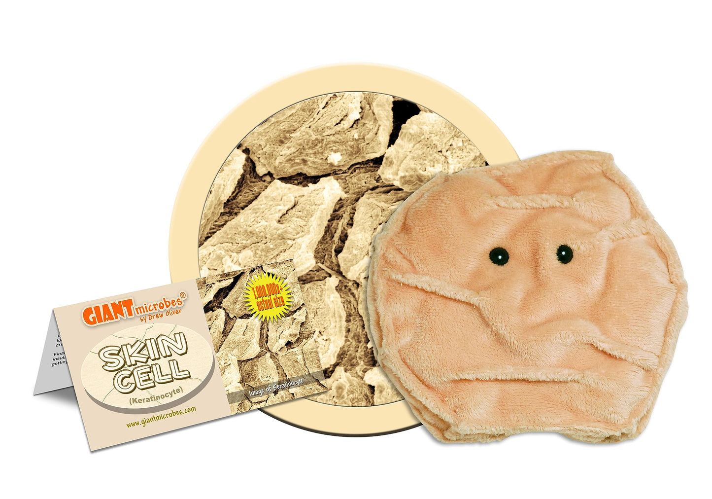 GIANT MICROBES Skin Cell Plush - Learn About Your Epidermis and Skin Health, Educational Gift for Family, Friends, Dermatologists, Patients