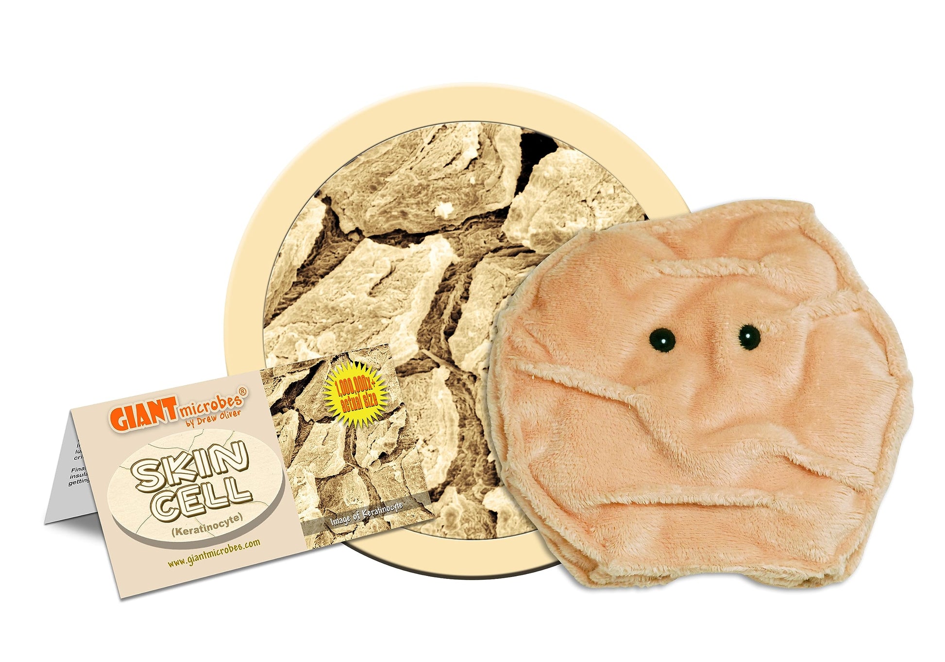 GIANT MICROBES Skin Cell Plush - Learn About Your Epidermis and Skin Health, Educational Gift for Family, Friends, Dermatologists, Patients