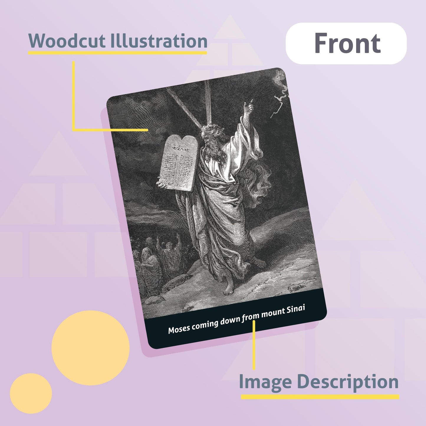 CARDDIA | Books of The Bible Flash Cards | Woodcut Illustrations, Color-Coded Divisions & Key Facts | Perfect for Bible Study, New Christians