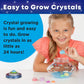 Creativity for Kids Crystal Space Terrarium Kit - Crystal Growing Kit for Kids - DIY STEM Science Kit for Boys and Girls (Ages 6+)