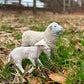 Safari Ltd. Lamb Figurine - Detailed 2.25" Plastic Model Figure - Fun Educational Farm Play Toy for Boys, Girls & Kids Ages 3+