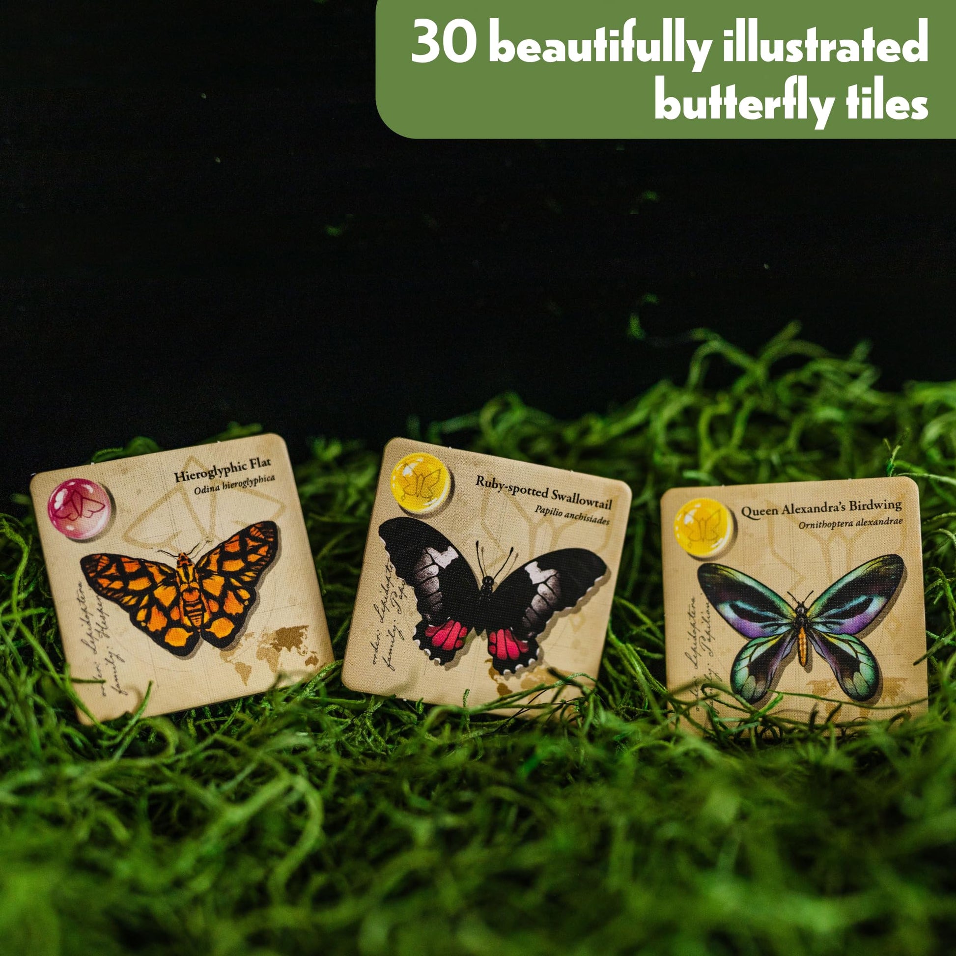 Lovemore Games Jewel Box Fluttering Expedition Expansion - Expansion to Jewel Box that Adds Butterflies and Allows up to 6 Players to Play Together