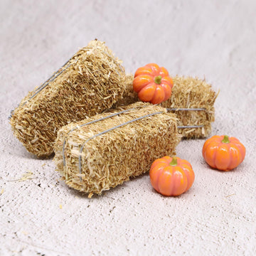Mini Hay Bale with Pumpkins Set, Miniature Straw Bale, Dollhouse Miniature Hay, for Fall Miniatures, Mini Halloween, Dollhouse, Fairy Garden
