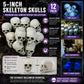 Fun Express White Plastic Realistic Skeleton Skulls 5 Inch for Halloween Party, Bar and Table Decorations, 12 Pack