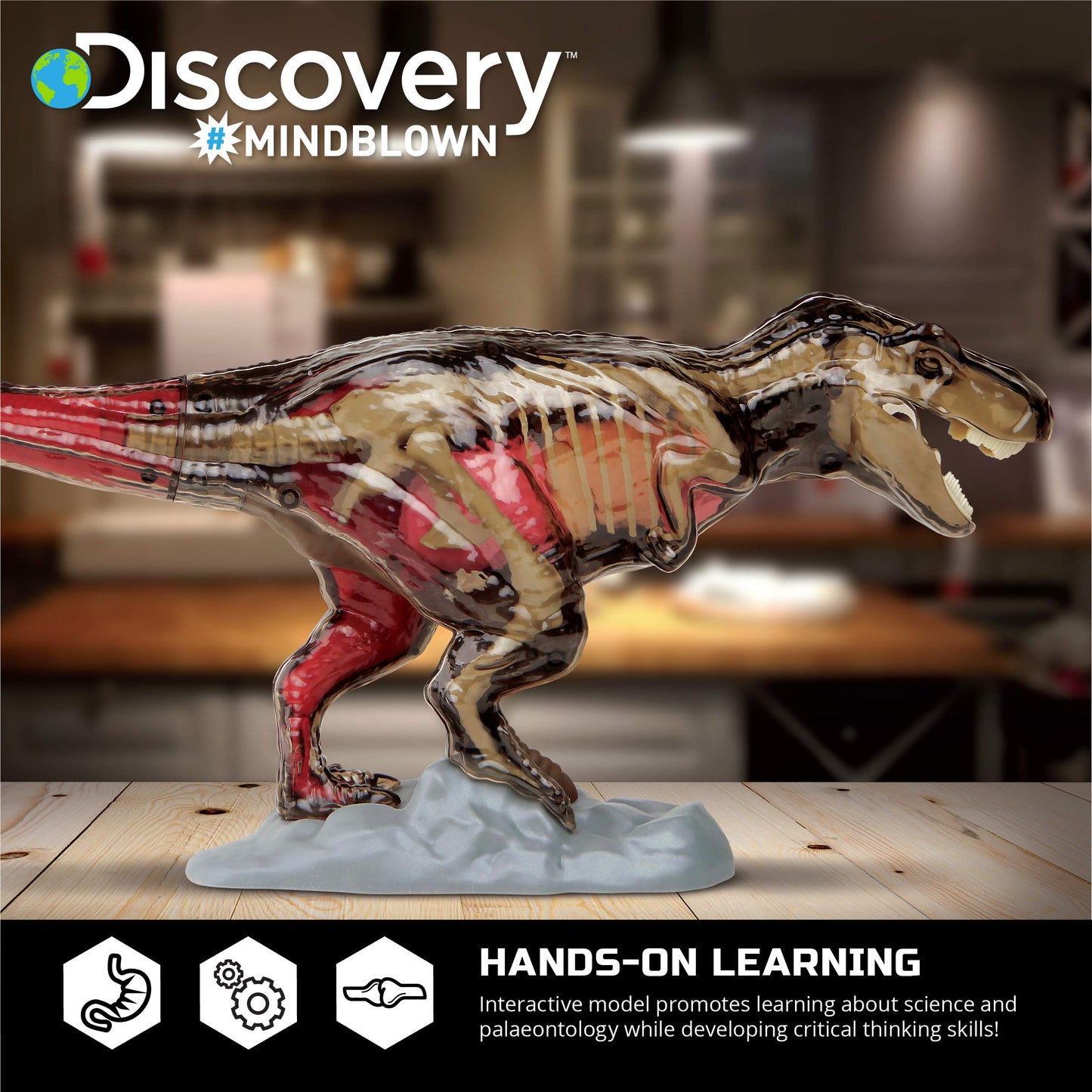 Discovery™ 4D T-Rex Anatomy Kit, Jurassic Dinosaur Puzzle Figure, Interactive Archaeology & Paleontology Model, Learn Science & Biology, Fun