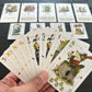 Bezier Games Rebel Princess Deluxe Edition Game Trick Taking Card Game with Unique Princess Powers and Dynamic Round Rules | Strategic Fantasy Party