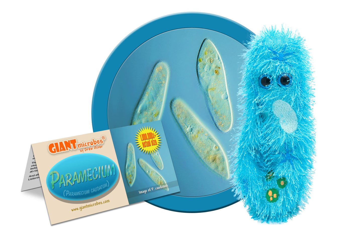 GIANTmicrobes Paramecium Plush - Learn about Nature and Complex Single-Celled Organisms with this Fun Gift for Family, Friends, Students, Teachers