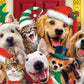 Ceaco - Selfies Holiday Dogs - 500 Piece Jigsaw Puzzle for Adults