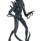NECA - Alien- 7" Scale Action Figures - Ultimate Warrior - (1986) Blue Alien