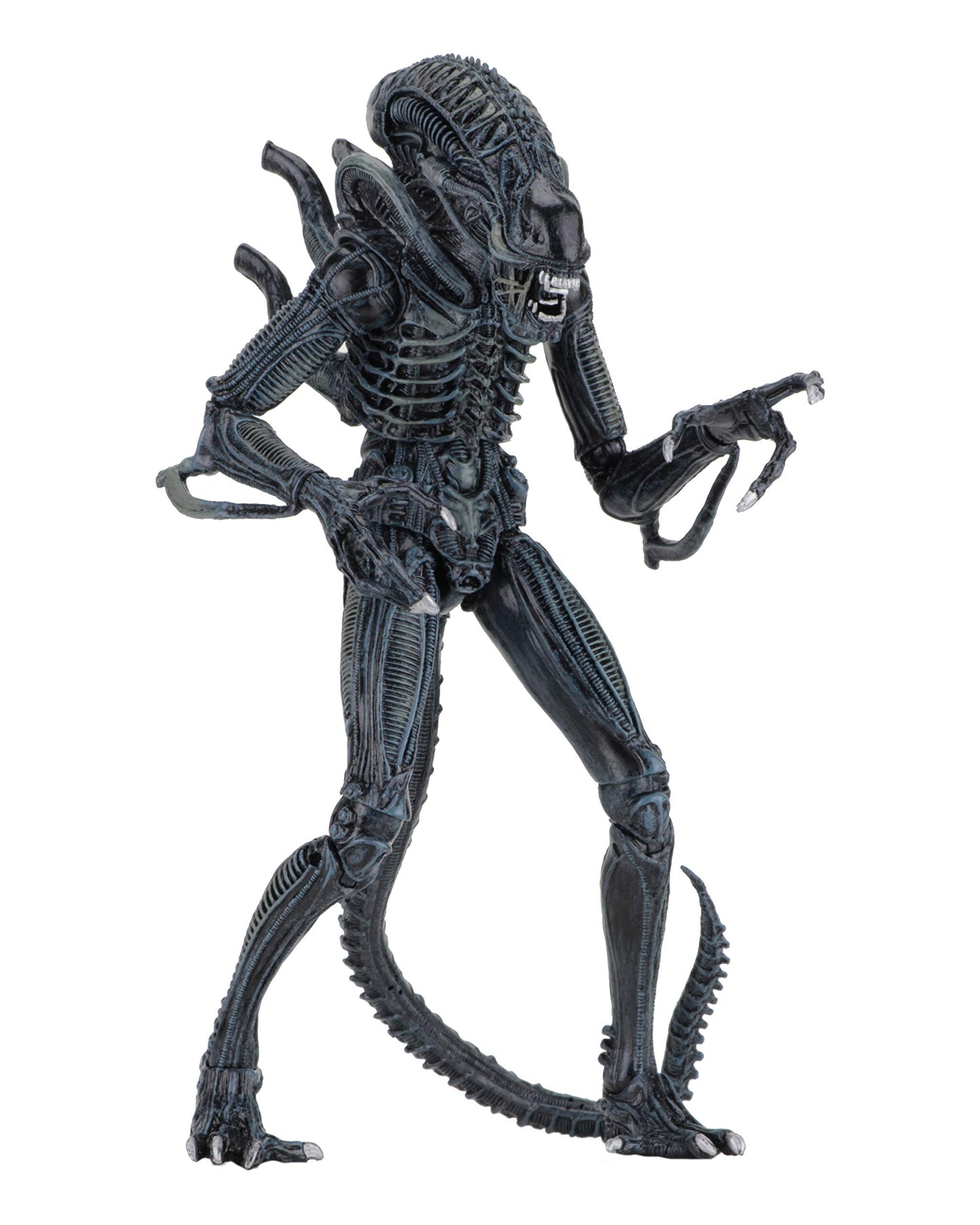 NECA - Alien- 7" Scale Action Figures - Ultimate Warrior - (1986) Blue Alien