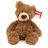 GUND Pinchy 17-Inch Classic Brown Teddy Bear Plush Toy for Ages 0+