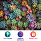 Cross & Glory | 1000 Piece Jigsaw Puzzles for Adults | Succulent Symphony