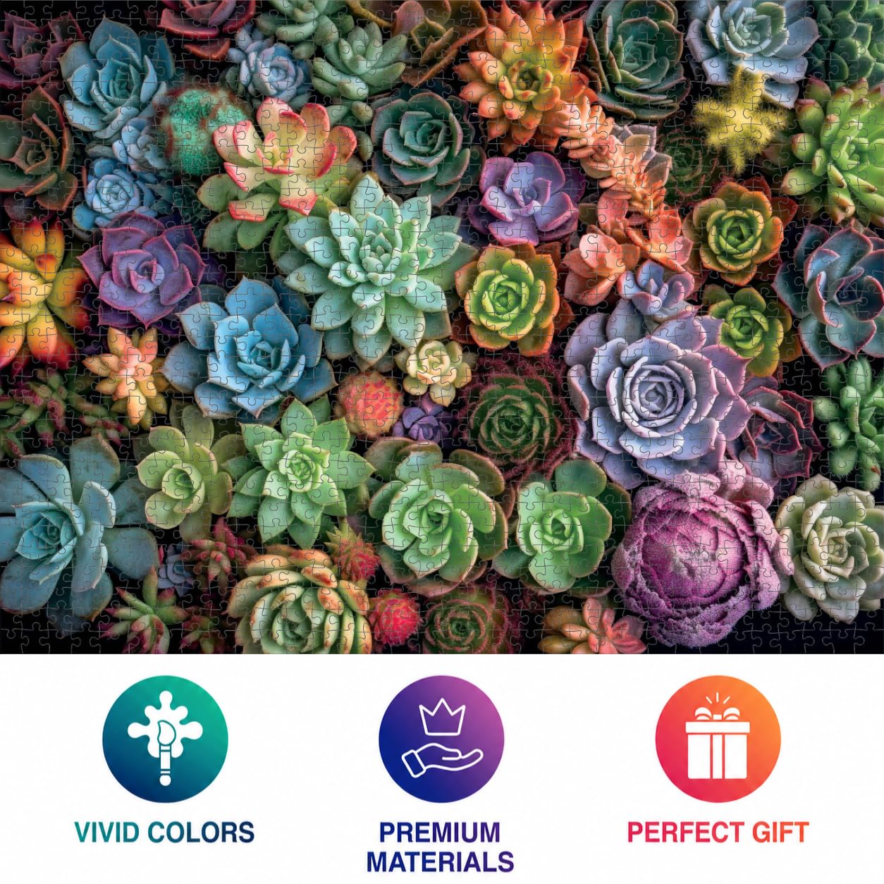 Cross & Glory | 1000 Piece Jigsaw Puzzles for Adults | Succulent Symphony