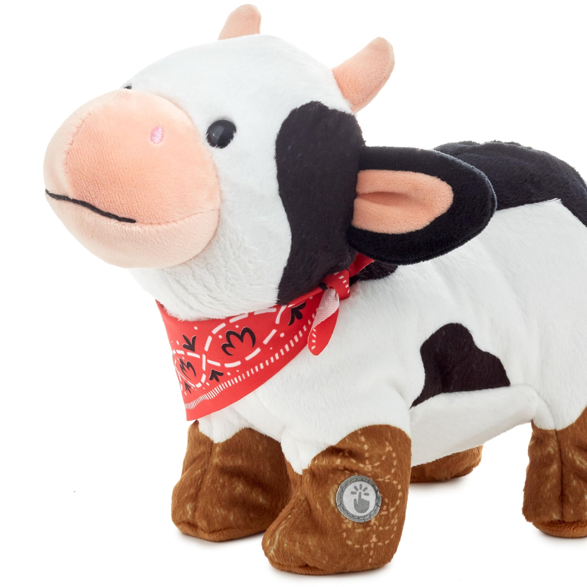 Hallmark Singing Cow Plush Toy with Motion (Boot Scootin' Boogie) Gift for Kids, Friends, Animal Lovers, Easter Gifts for Kids