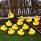 JTTJDB 50 Pcs Mini Rubber Ducks,Float and Squeak Duckies