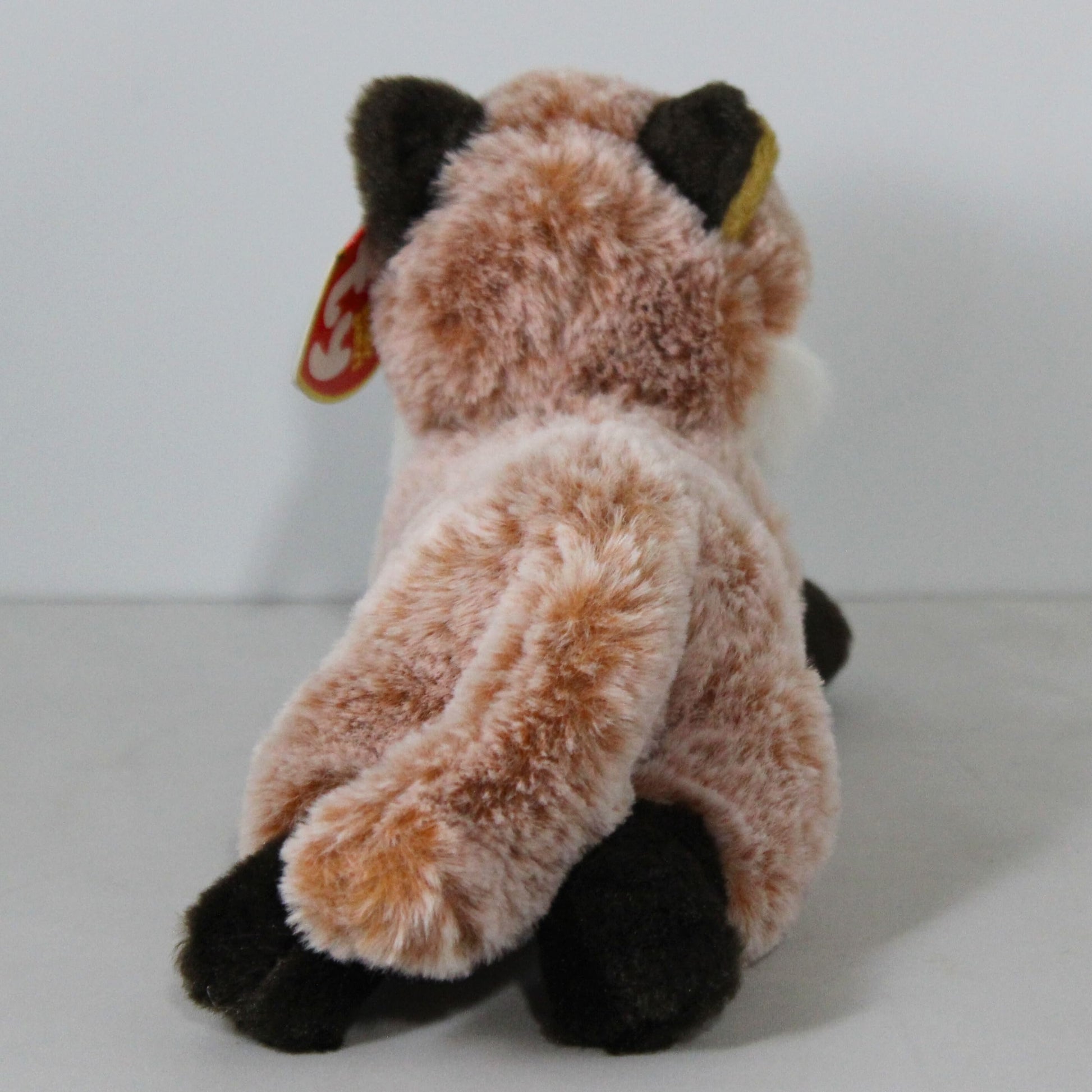 TY 50052 Beanie Babies Fredrick Fox, Multicoloured