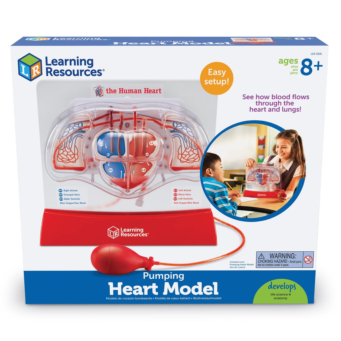 Learning Resources Pumping Heart Model - Science Classroom Must Haves, STEM Student Essentials, Practice Anatomy, Cardiology Artery and Veins Study