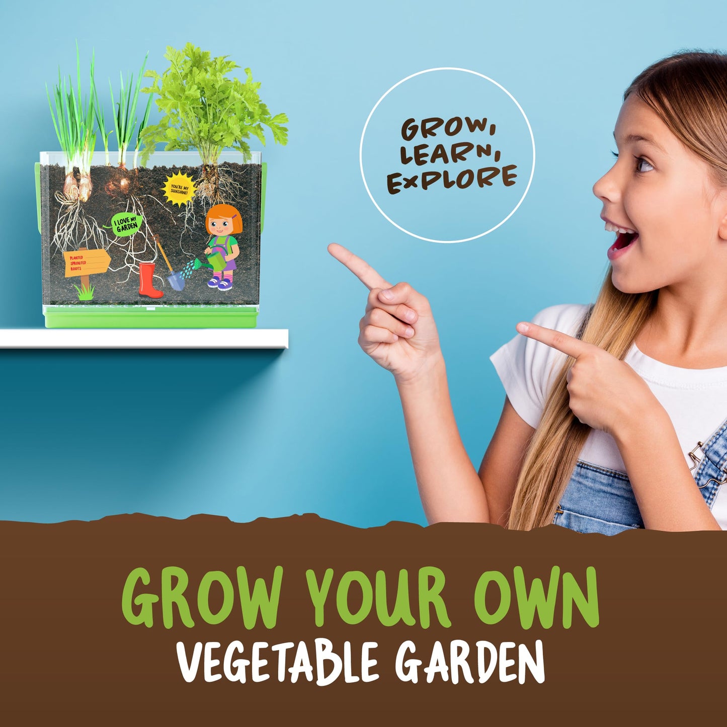 Root Viewer Kit for Kids - Grow Your Own Plant for Boys & Girls Gifts