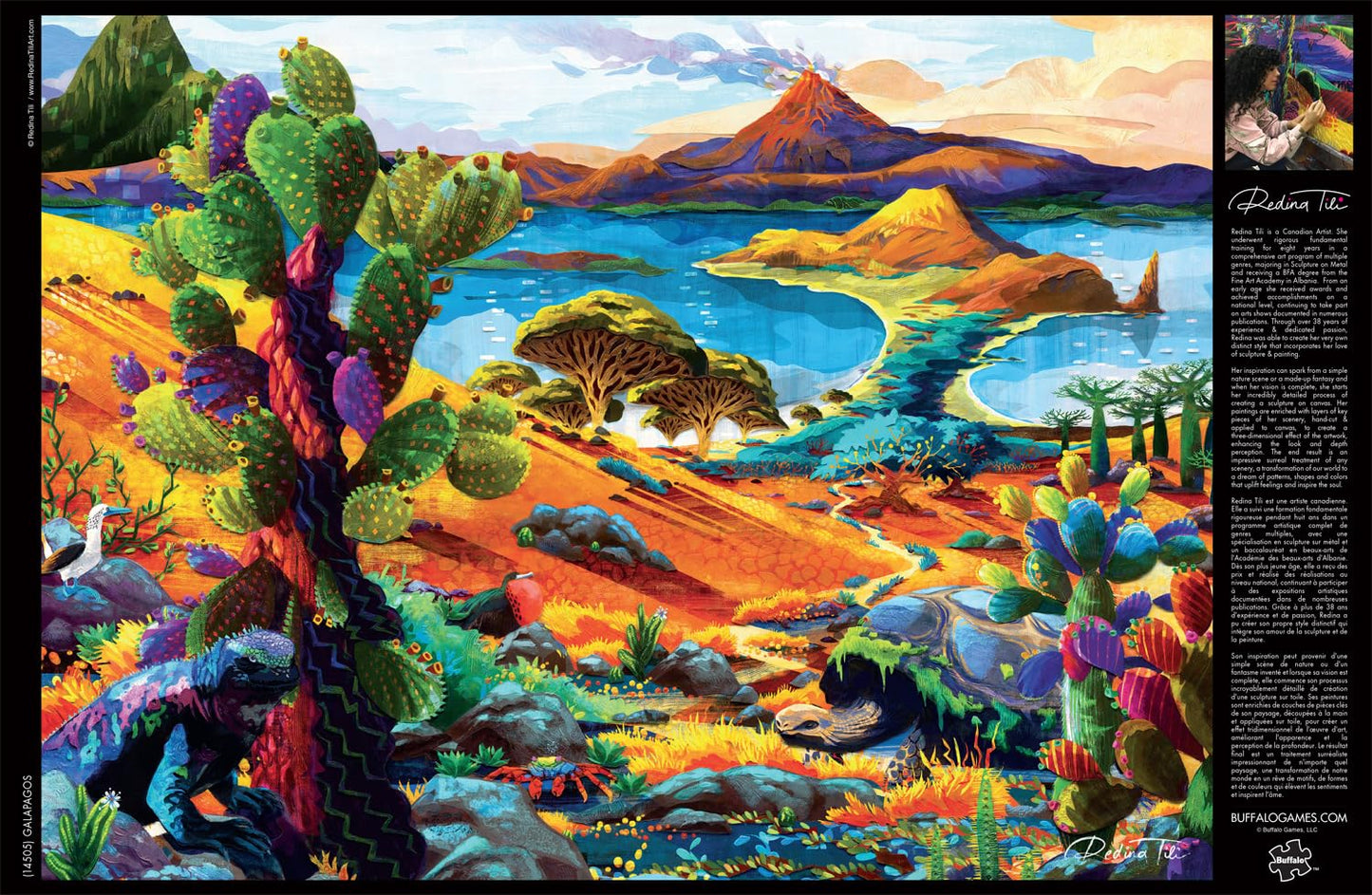 Buffalo Games - Galapagos - 1000 Piece Jigsaw Puzzle for Adults