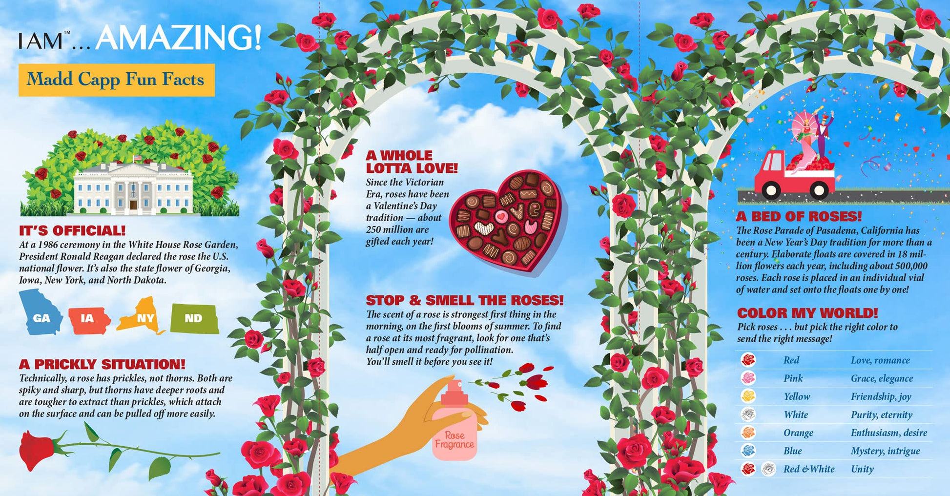 Madd CAPP: I Am Rose - 350 Piece Jigsaw Puzzle- 8003 - Ages 10+, Unique Floral-Shaped Border, Challenging Random Cut, Includes Educational Madd CAPP