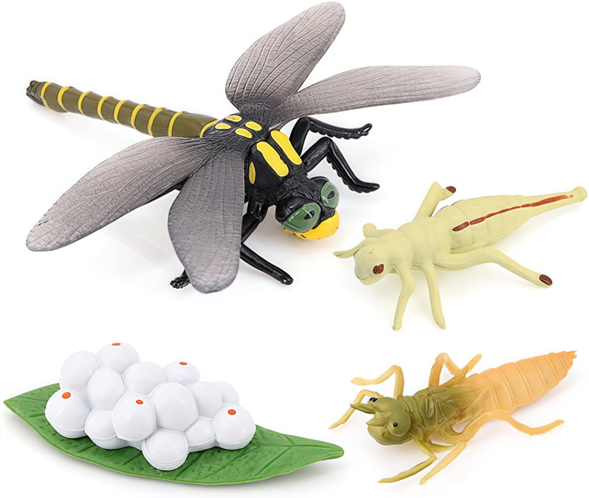 Gemini & Genius Life Cycle of Mosquito and Dragonfly Figurines, Insect Growth Diary Action Figures, Super Fun for Learning Gifts, Party Favors