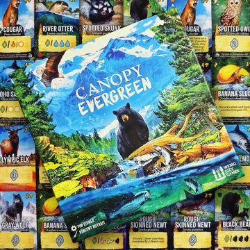 Weird City Games Canopy Evergreen - Strategy Board Game - for 1 to 4 Players and Ages 10+
