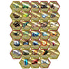 Renegade Game Studios Heroscape Glyph Pack Expansion - 33 Miniatures
